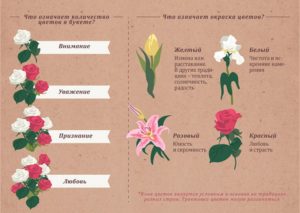 Розы и значение их цвета при дарении