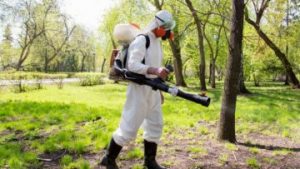 Уничтожение клещей: нужное и ответственное мероприятие