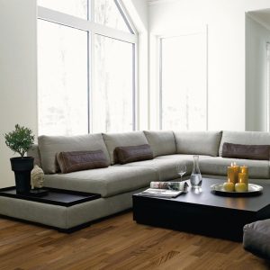 Советы по выбору углового дивана для гостиной
