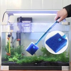 Как ухаживать за домашним аквариумом?
