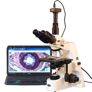 Микроскоп: важнейший прибор, без которого не обойтись при проведении научных исследований