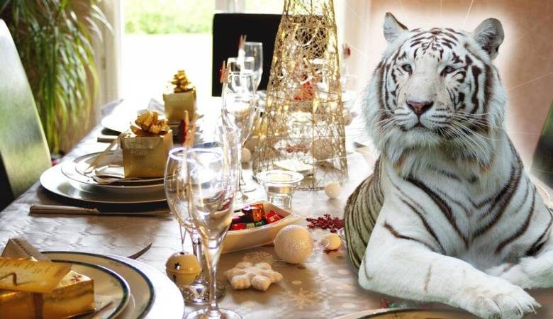 
Что подавать на новогодний стол 2022, чтобы Тигр остался доволен                