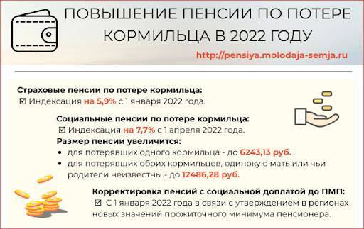
Каким будет повышение пенсии по потере кормильца в России в 2022 году                
