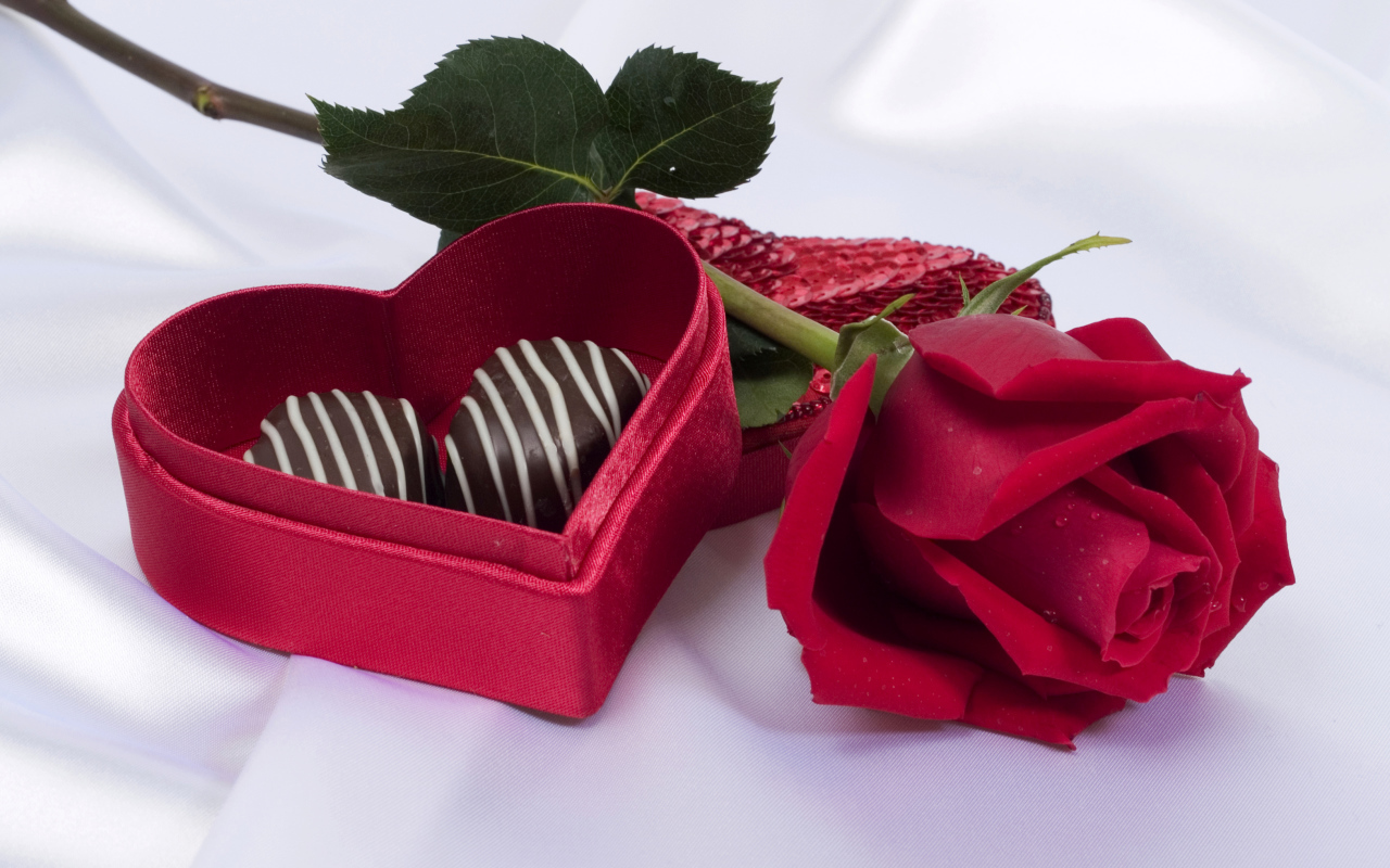 Какие цветы дарить на День Святого Валентина?