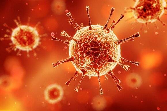 
На юге Франции обнаружен новый штамм коронавируса: насколько он опасен                
