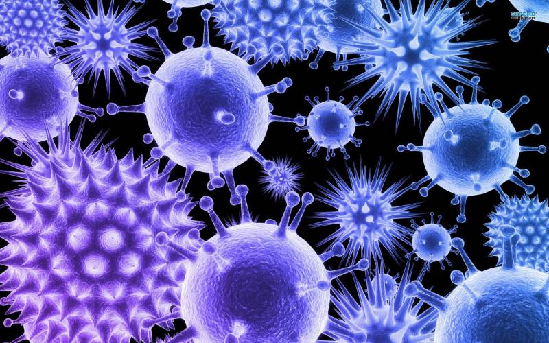 
Последние новости о новом штамме коронавируса «Дельтакрон»                
