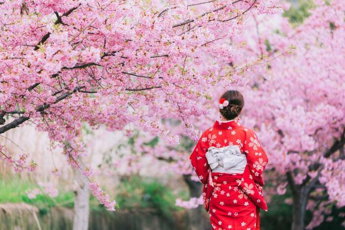 
Что жители Японии вкладывают в процесс созерцания цветущей сакуры                
