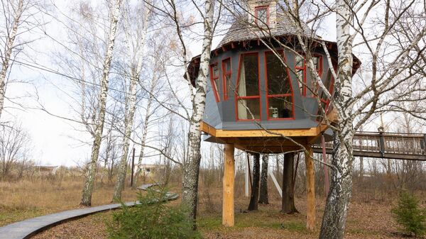 Джакузи на дереве и дикие мангалы: самые необычные отели недалеко от Москвы