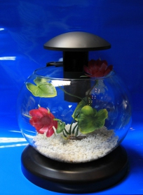 Использование аквариумов в интерьере и рекомендации при их выборе