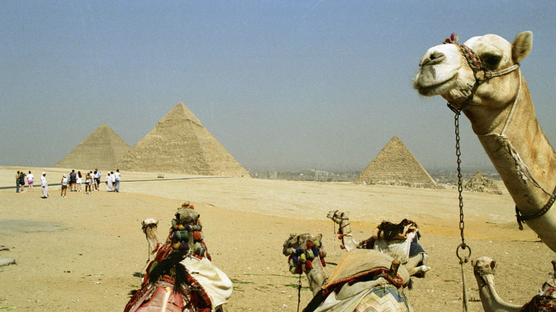 Египетский музей в Каире и пирамиды Гизы меняют время работы