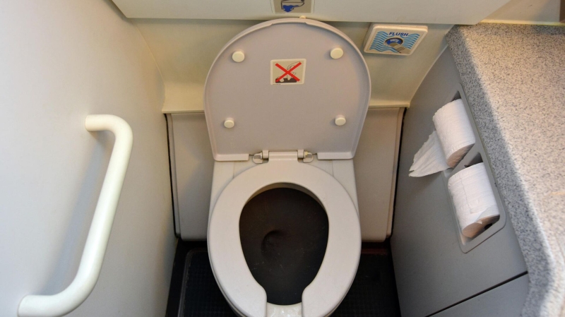 Стюардесса раскрыла секрет уборки туалетов в самолетах