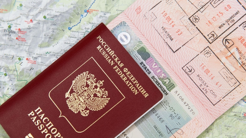 Голикова рассказала о единых электронных визах для недружественных стран