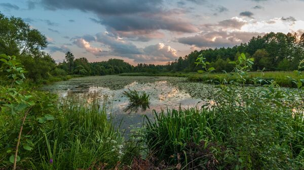 Недорого, красиво и десять тысяч озер: чем удивит отдых в Белоруссии
