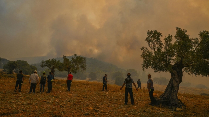 С греческого острова Родос из-за пожаров эвакуировали туристов