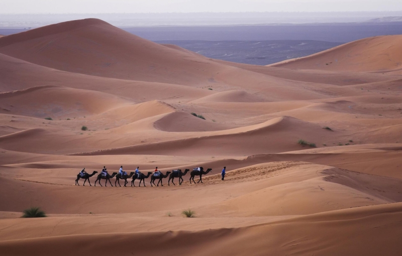 Средиземное море и звездное небо Сахары: что привлекает туристов в Алжире