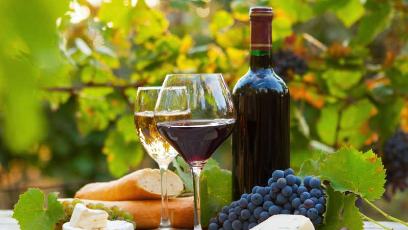 Средства от пошлин на вино пойдут на строительство модульных гостиниц
