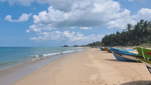 Остров для релакса и серфинга. Как выбрать курорт на Шри-Ланке летом