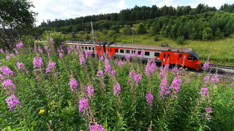 В России вступили в силу новые правила для пассажиров поездов