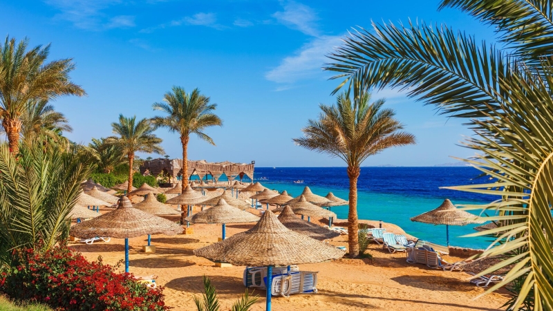 Эксперты рассказали, сколько стоит отдых в Египте в ноябрьские праздники