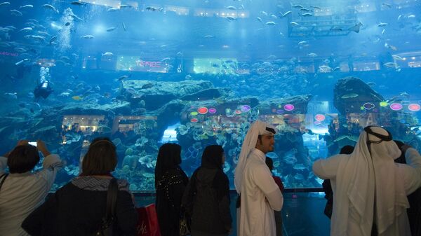 Море или музеи: какой эмират выбрать. Гид по курортам ОАЭ