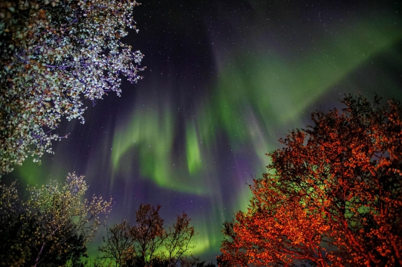 Зеленый дракон в ночном небе: куда и когда ехать за полярным сиянием