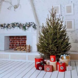 Живая ель на Новый год: выбираем, ухаживаем и сохраняем свежесть праздничного дерева