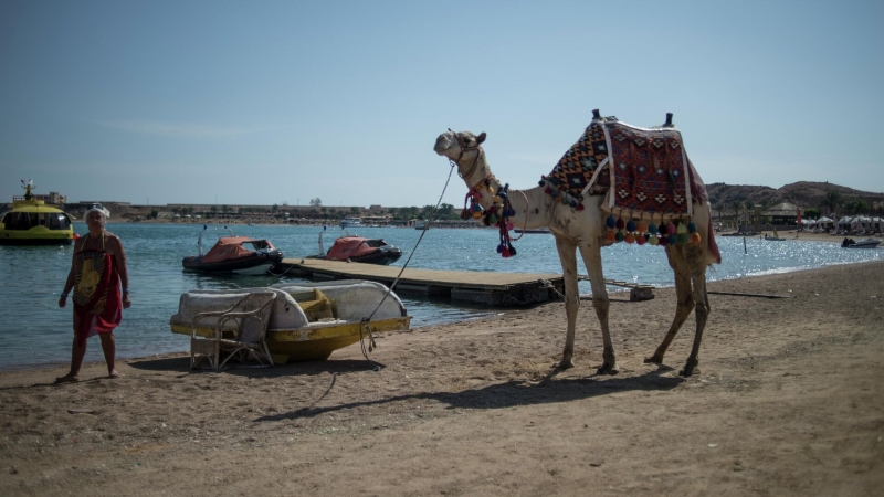 Туроператоры рассказали о снижении цен на путевки в Египет