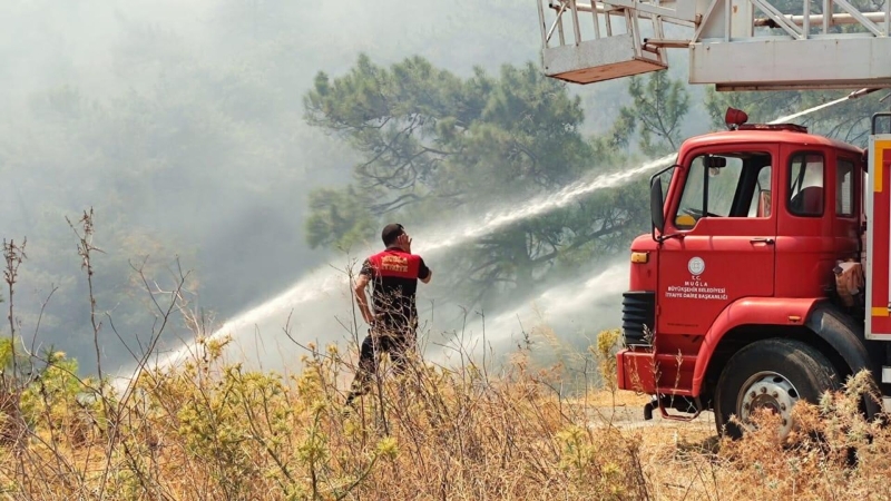 На популярном турецком курорте разгорелся лесной пожар 