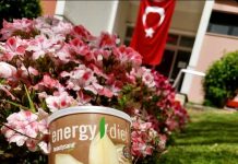 Вечерний дожор. Топ блюд для легкого и полезного перекуса