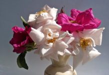 Каким может быть натюрморт с цветами?