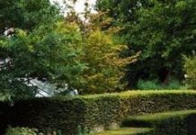 Особенности ландшафтного дизайна