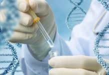 Особенности генеалогической экспертизы