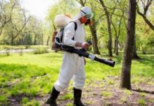 Уничтожение клещей: нужное и ответственное мероприятие