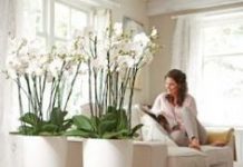 Искусственные цветы в интерьере