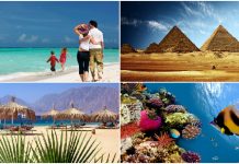 Что может быть лучше отдыха в Египте этой зимой?