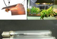 Использование ламп ДНАТ для растений