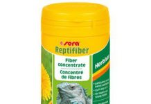 Польза витаминов для рептилий