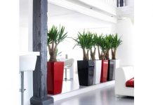 Цветочные горшки Lechuza: продукт премиум-класса