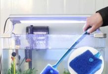 Как ухаживать за домашним аквариумом?