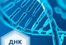 Для чего нужен ДНК-тест?