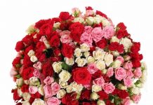 Что подарить на День Рождения сестре?