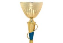 Виды наградных кубков