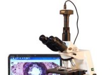 Микроскоп: важнейший прибор, без которого не обойтись при проведении научных исследований