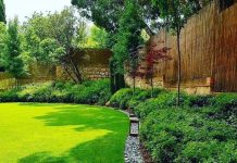 Тонкости ландшафтного дизайна земельного участка