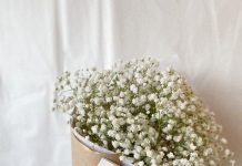 Особенности букета из гипсофилы