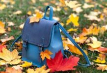 Как будут учиться российские школьники после 8 ноября 2021 года