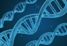 Инициации Нового времени: начни процесс активации гена Бога