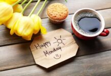 Гороскоп на 20 декабря 2021 года: день, когда могут исполниться любые желания