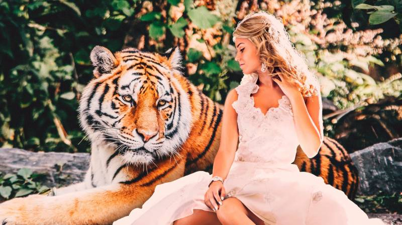 
Какие цвета понравятся Тигру и привлекут удачу в 2022 году: советы каждому знаку зодиака                