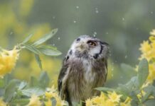 Какой церковный праздник сегодня, 14 декабря 2021 года, чтят православные